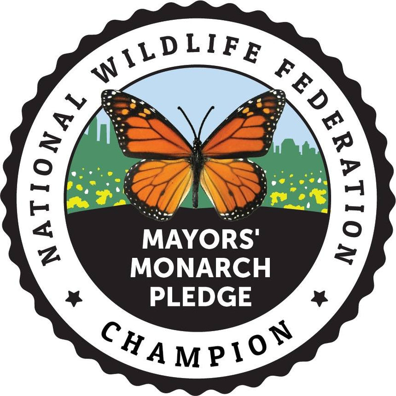 Rochester Pollinators